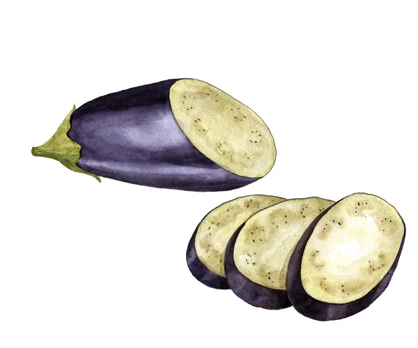 Aquarelpaarse aubergine — Stockfoto