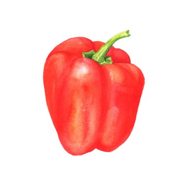 Suluboya tatlı biber