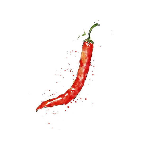 Vodové barvy červené chili pepper — Stock fotografie