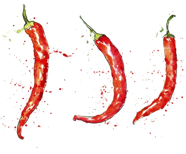 Watercolor red chili peppers — Stock Photo, Image
