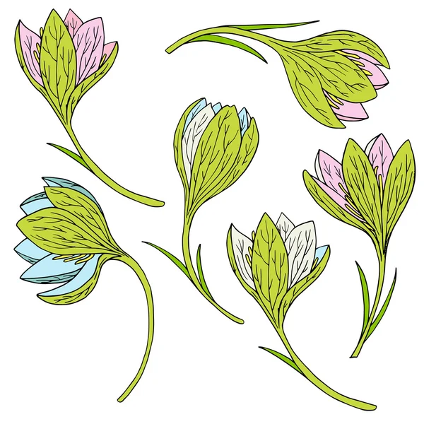 Vector set of snowdrops — Stock Vector