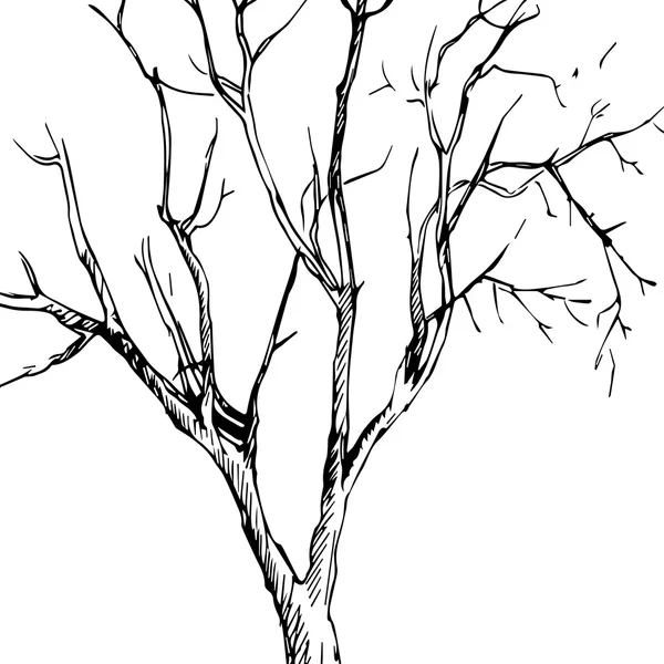 Tinta vetorial árvore de desenho — Vetor de Stock