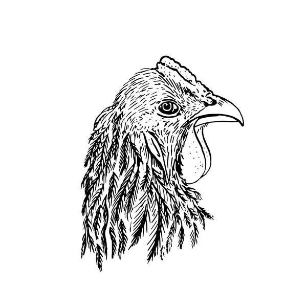 Cabeza de dibujo de tinta de chiken — Archivo Imágenes Vectoriales