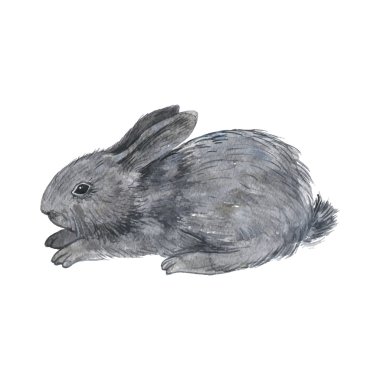 küçük tüylü tavşan vektör
