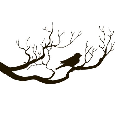 ağaç siluetleri kuşa