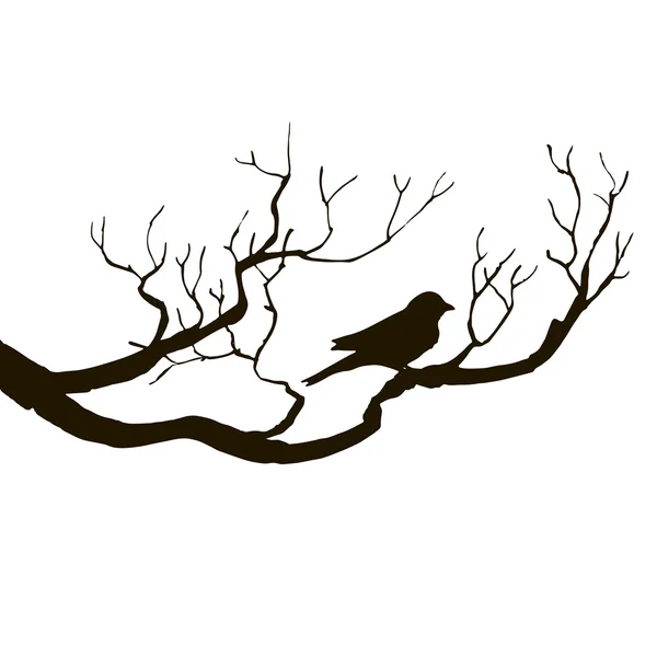 Bird at tree silhouettes — Stock Vector