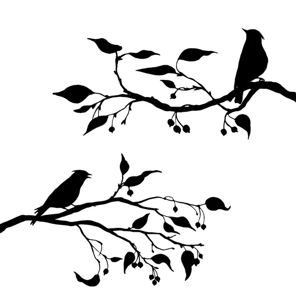 Fåglar vid trädet silhuetter — Stock vektor