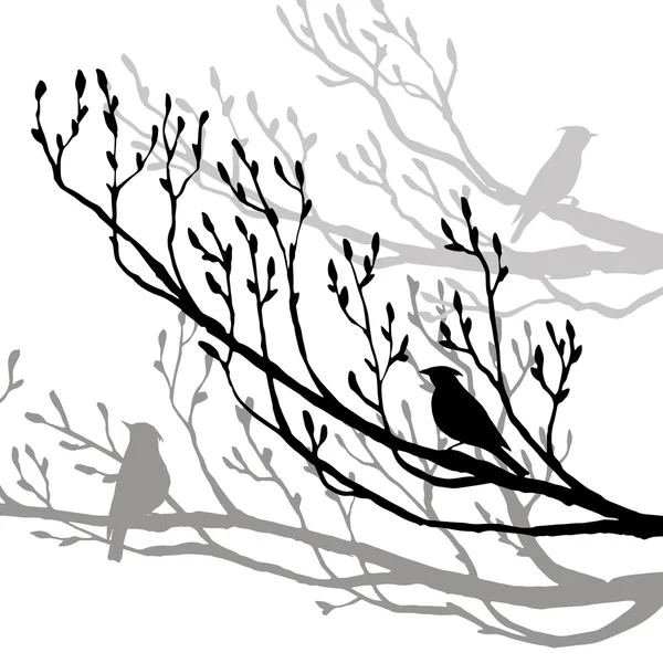 Bird at tree silhouettes — Stock Vector