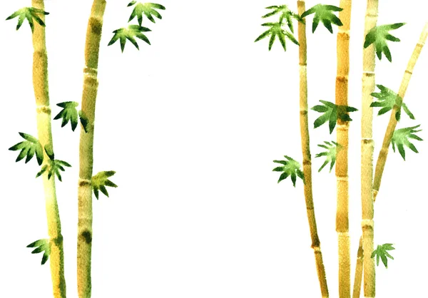 Watercolor bamboo background — Stock Photo, Image