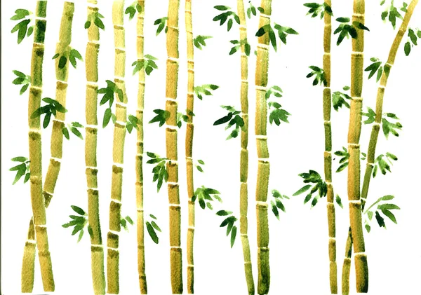 Watercolor bamboo background — Stock Photo, Image