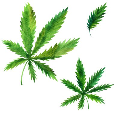 Suluboya yeşil yapraklar