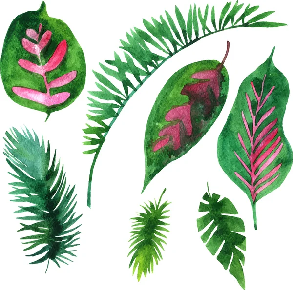 Vettoriale acquerello foglie verdi — Vettoriale Stock