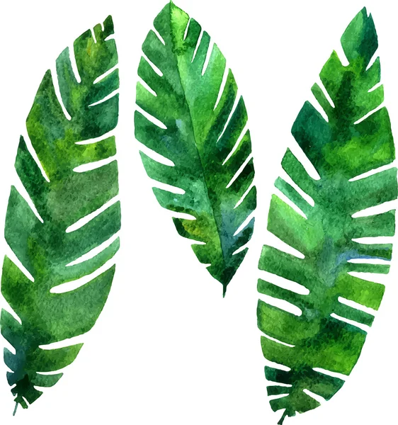 Vector watercolor green leaves — Stock Vector