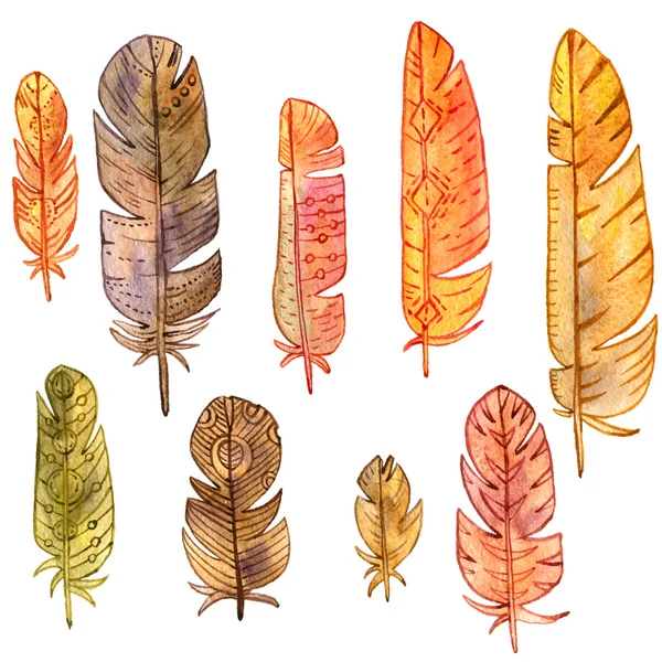 Set of watercolor feathers — Stock Photo, Image