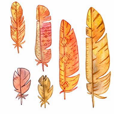 suluboya tüyler vektör kümesi