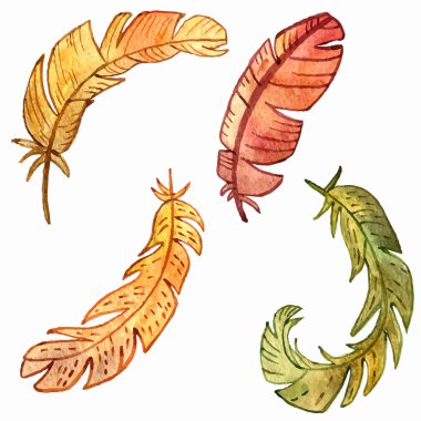 suluboya tüyler vektör kümesi