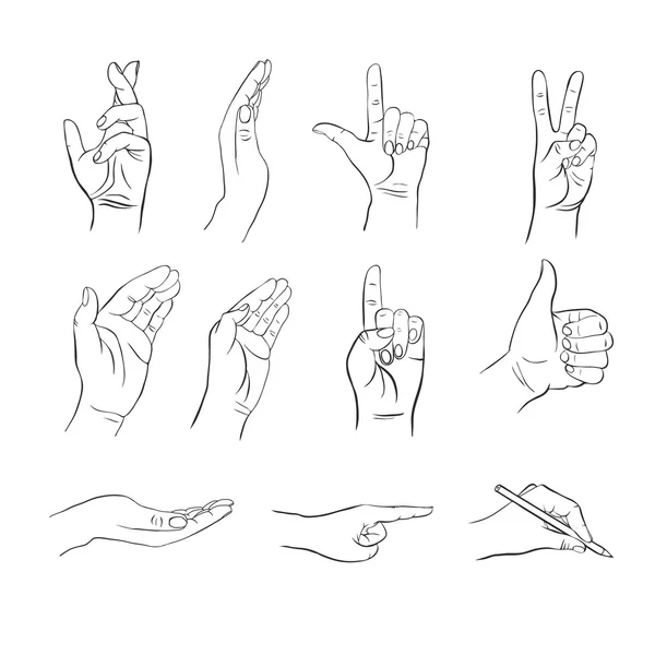 Ensemble de mains vectorielles — Image vectorielle