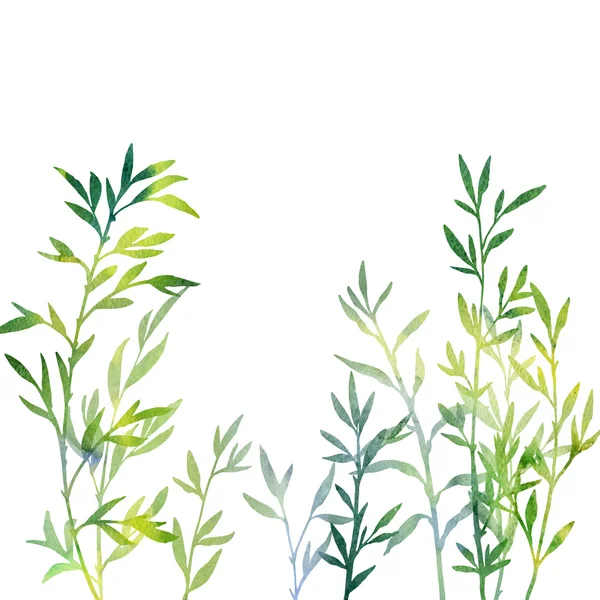 thicket of bamboo branches with leaves