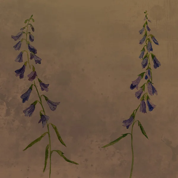 Ilustracja kwiat niebieski retro rysunek — Zdjęcie stockowe