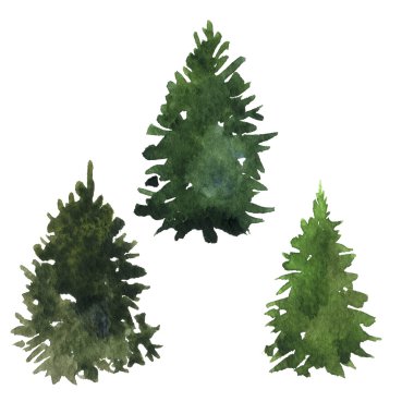 köknar ağacı seti