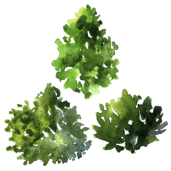 Ensemble de différents arbres à feuilles caduques — Image vectorielle