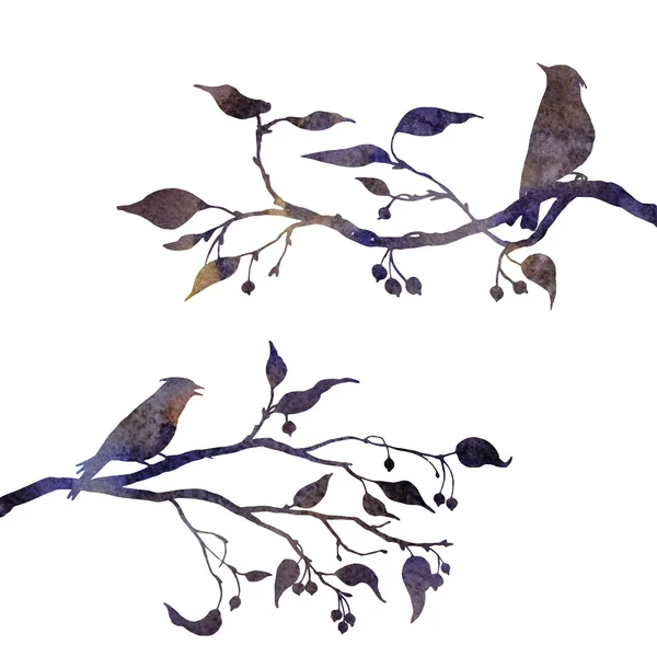 Птицы на силуэтах деревьев — стоковое фото
