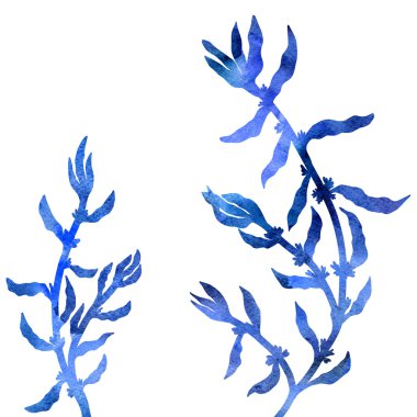 çiçek kompozisyon bitkiler ve yaprakları