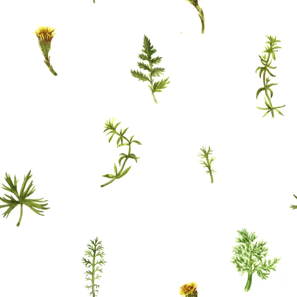 Patrón sin costura con hierbas y hojas de dibujo de acuarela — Foto de Stock