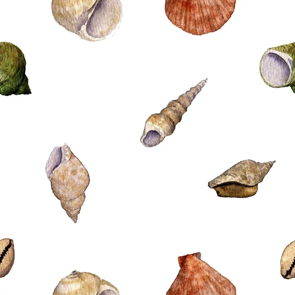 Naadloze patroon met aquarel tekening schelpen — Stockfoto