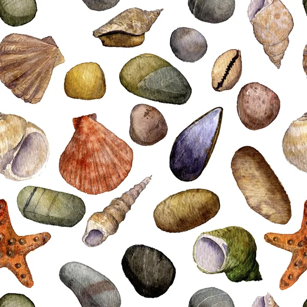 Motif sans couture avec coquilles de dessin à l'aquarelle — Photo