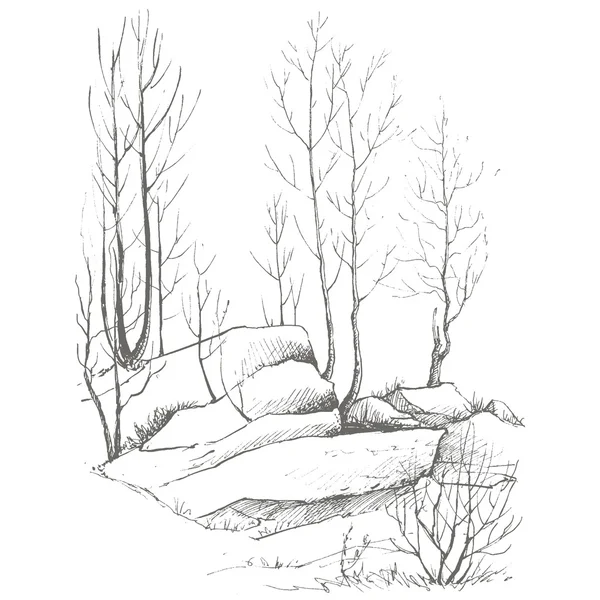 huş ağaçları ve kayalar