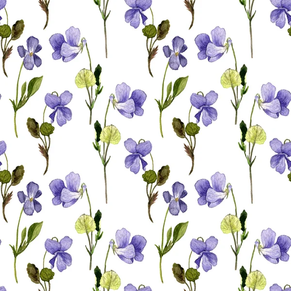 Floral seamless pattern with wild flowers — Stock Photo, Image