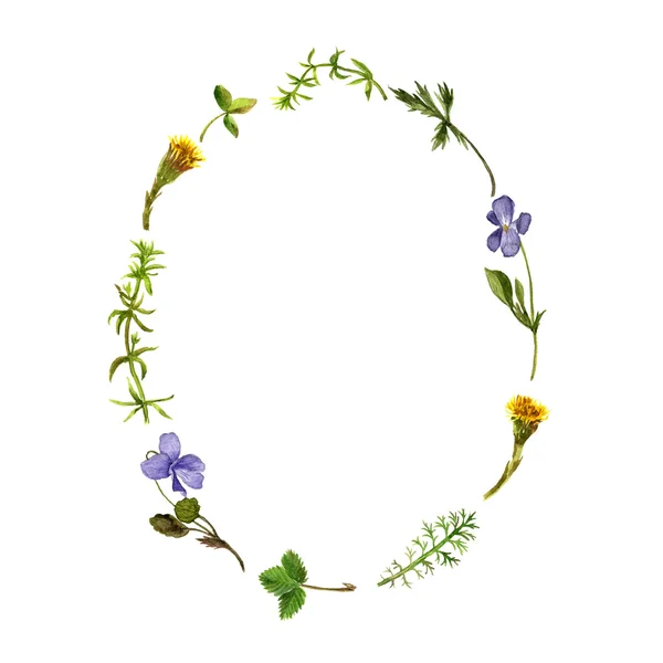 Blumenrahmen mit Aquarellzeichnung von Kräutern und Blättern — Stockfoto