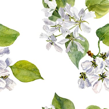 vektör suluboya elma ağacı çiçek ile seamless modeli