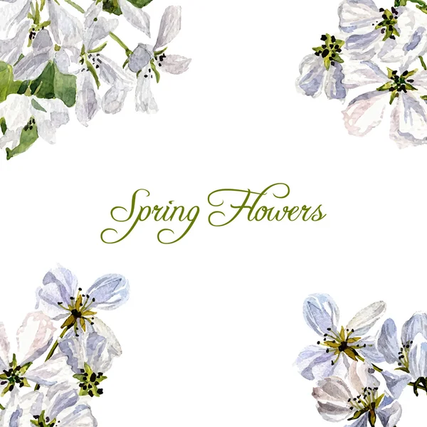 Vector de fondo con flores de manzano acuarela — Archivo Imágenes Vectoriales