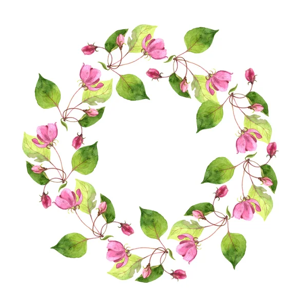 Cornice floreale rotonda con fiori di melo rosa — Foto Stock