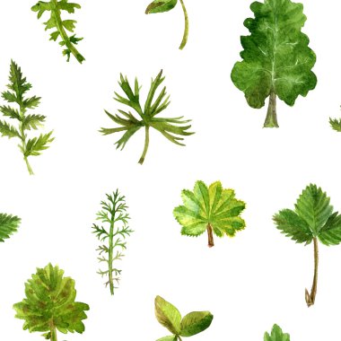 Seamless pattern with watercolor drawing herbs and leaves