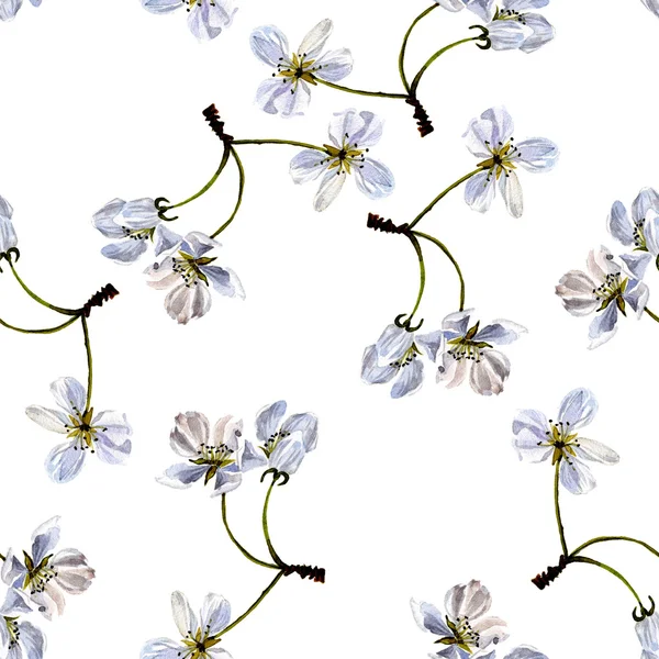 seamless pattern with watercolor apple tree flowers