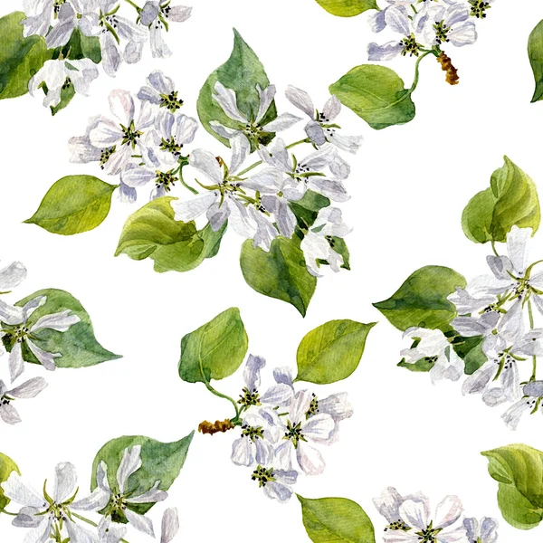 Motif sans couture avec des fleurs de pommier aquarelle — Photo