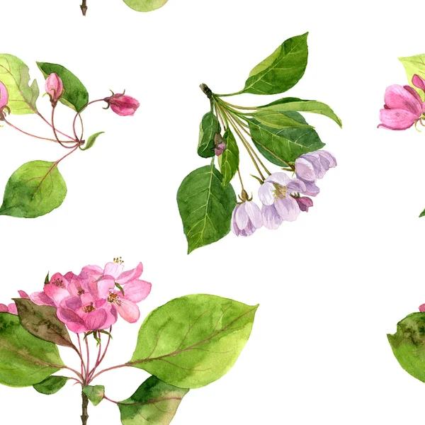 Seamless pattern with watercolor pink apple tree flowers — ストック写真