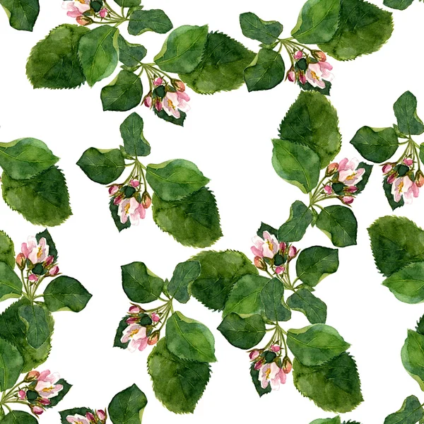 水彩リンゴの木の花とシームレスなパターン — ストック写真