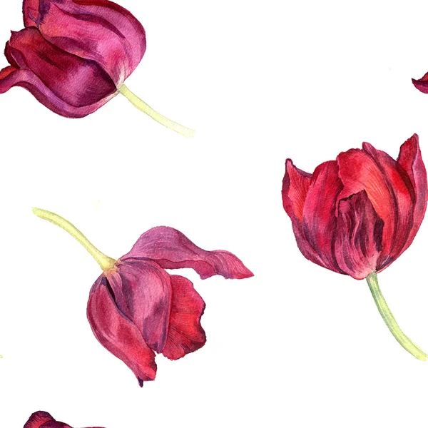 Motif sans couture avec des tulipes rouges aquarelle — Photo