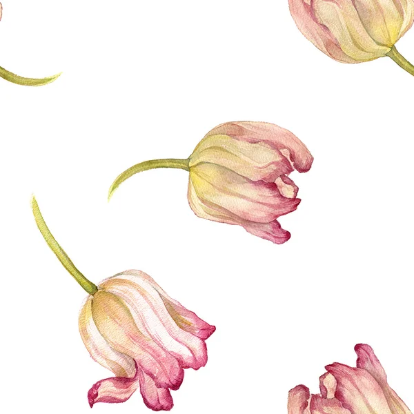 Nahtloses Muster mit Aquarell rosa Tulpen — Stockfoto
