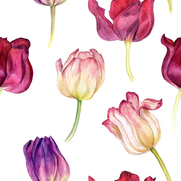 Modello senza cuciture con tulipani ad acquerello — Foto Stock