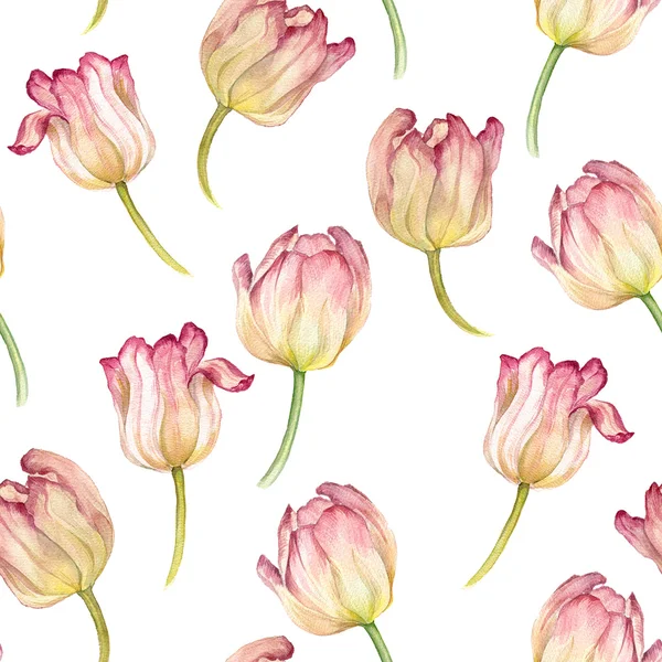 无缝模式与水彩的粉红色郁金香 — 图库照片