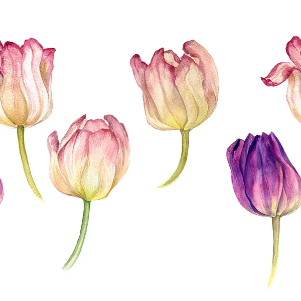 水彩 tulipss ボーダー シームレス パターン — ストック写真
