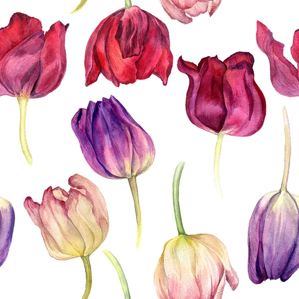 Padrão sem costura com tulipas aquarela — Fotografia de Stock