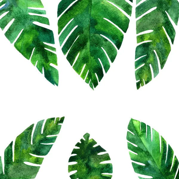 Background with watercolor green leaves — Stock Photo, Image