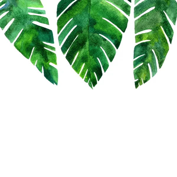 Background with watercolor green leaves — Stock Photo, Image