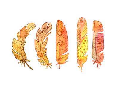 suluboya altın tüyleri seti